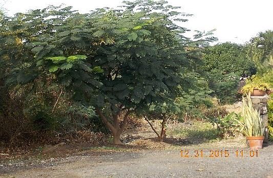 5th image of 73-4332 Haiku Pl