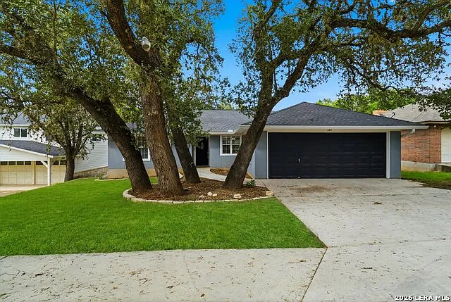 167 Mary Ann Dr — Photo 2