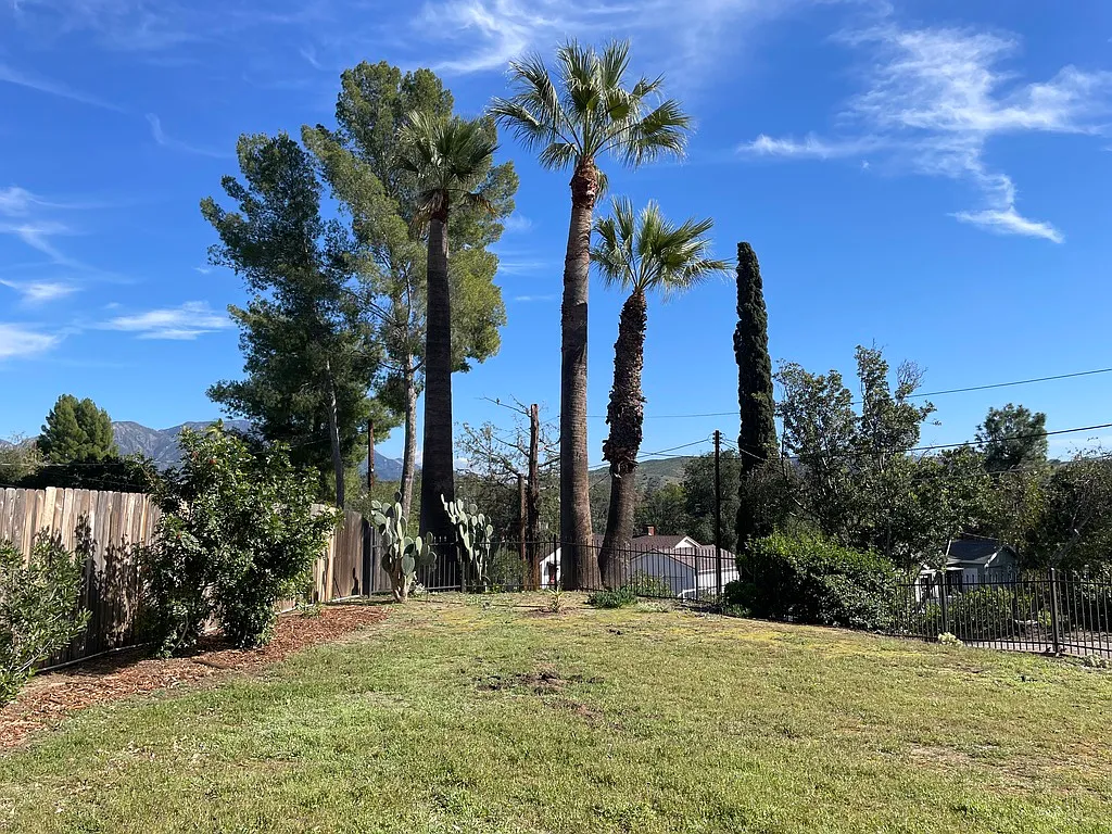 10517 Vail Drive — Photo 4
