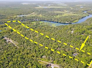 1241 Gee Whiz Ln, Osteen, FL 32764