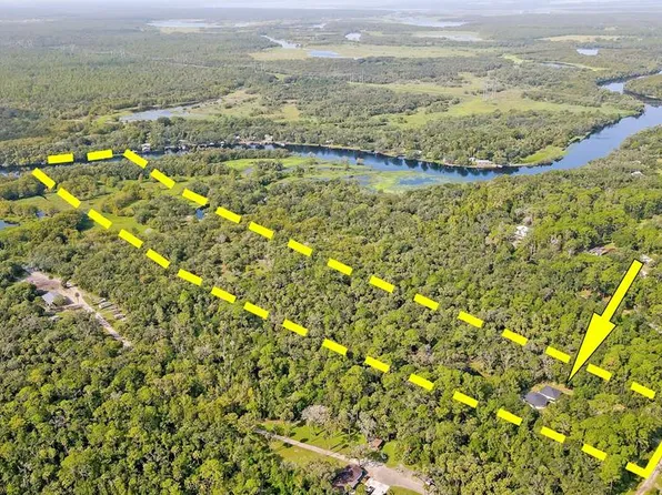 1241 Gee Whiz Ln, Osteen, FL 32764