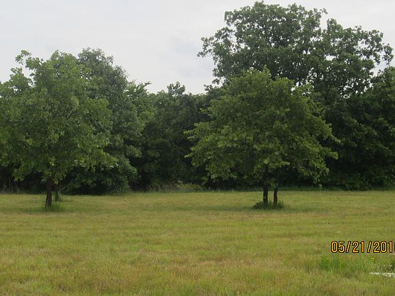 Mature trees & pasture