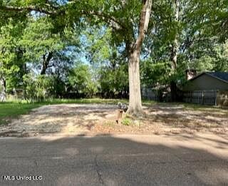 2nd image of 213 Pine Park Dr