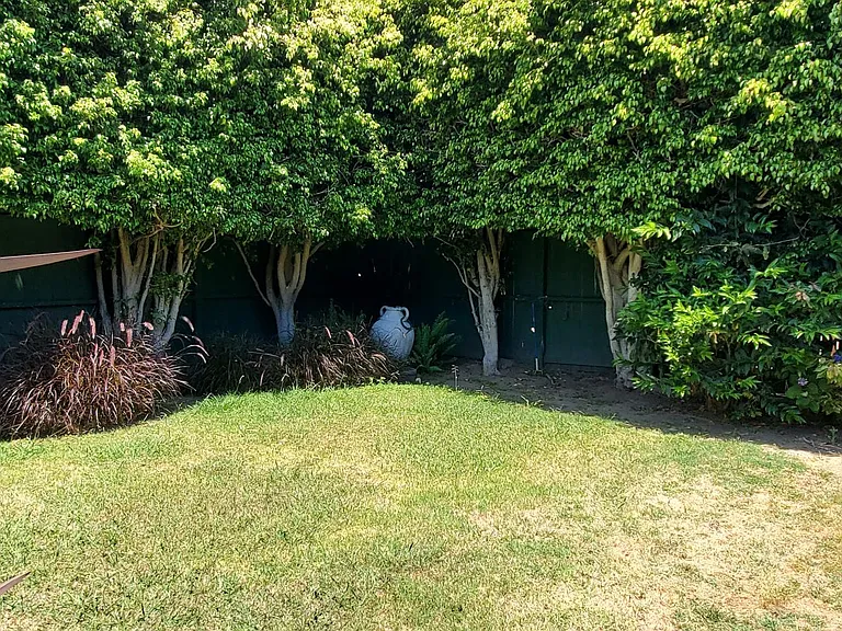 368 Gladys Ave — Photo 19