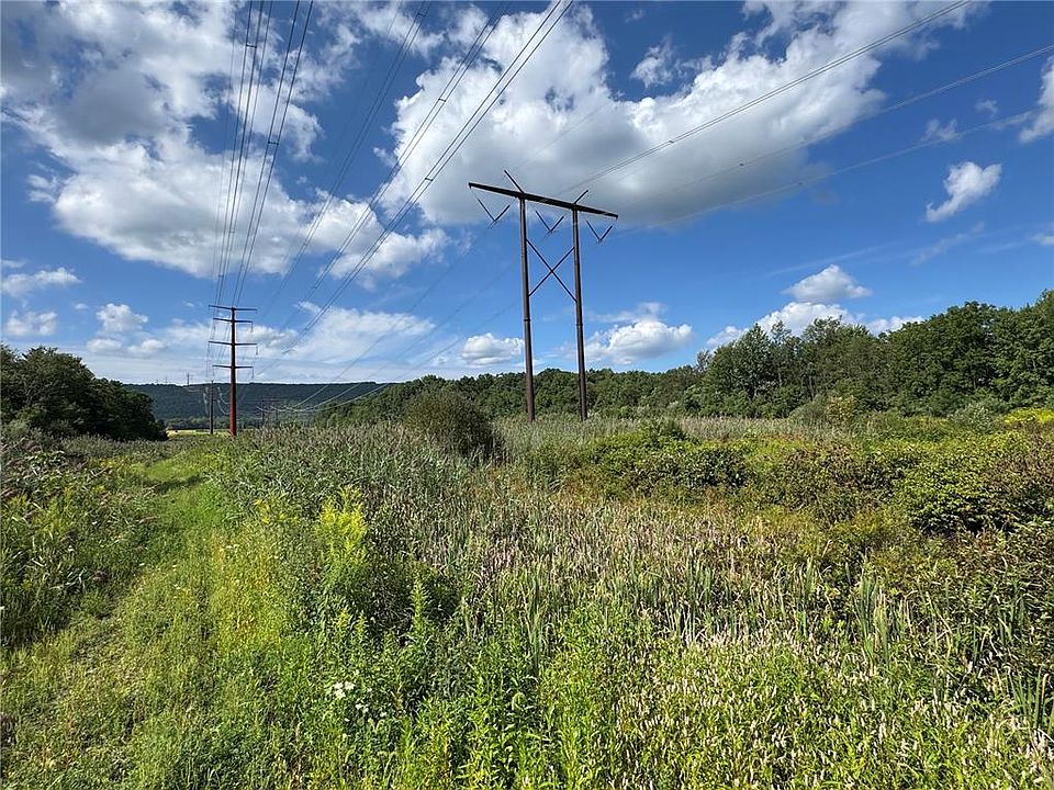 2nd image of Butternut Dr