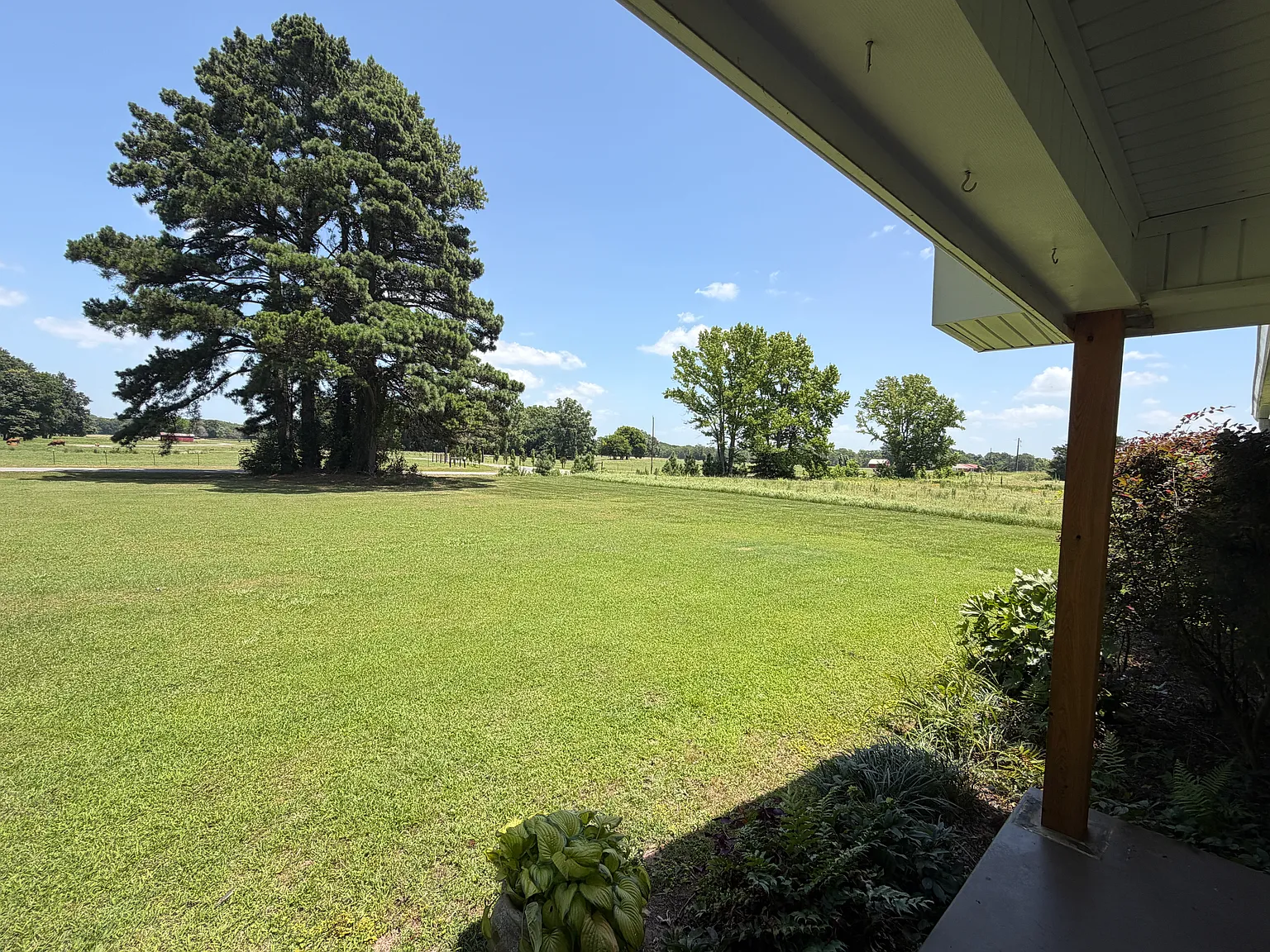 14738 Faulkner Lake Rd — Photo 4