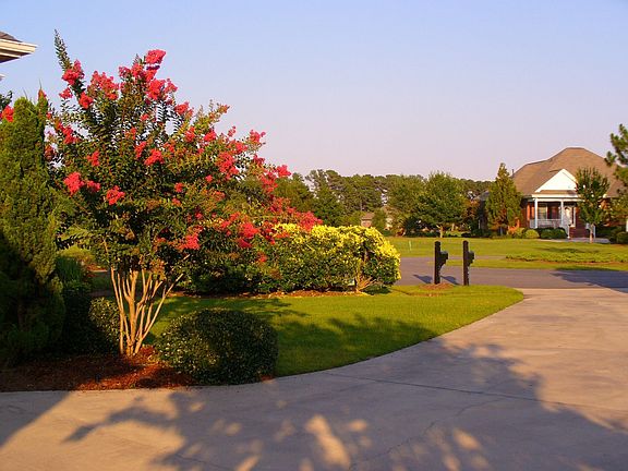 Looking down driveway
