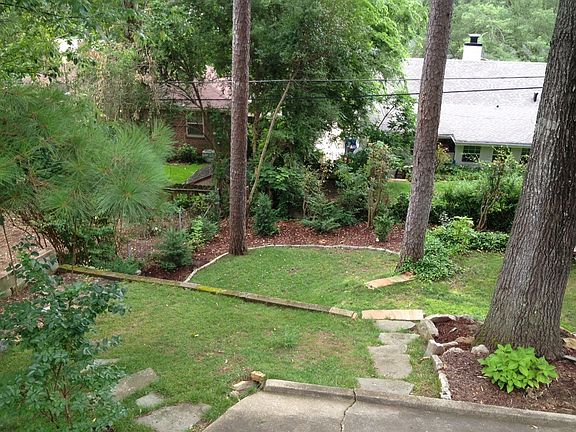 Backyard view from back deck