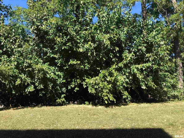 809 N 1st St, Chillicothe, IL 61523