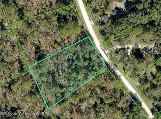 10520 Yellowlegs Ave, Brooksville, FL 34614