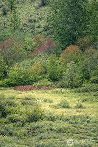 42 Beeman Road, Tonasket, WA, 98855