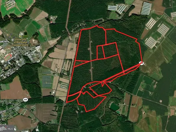 0 W Post Office Rd, Princess Anne, MD 21853