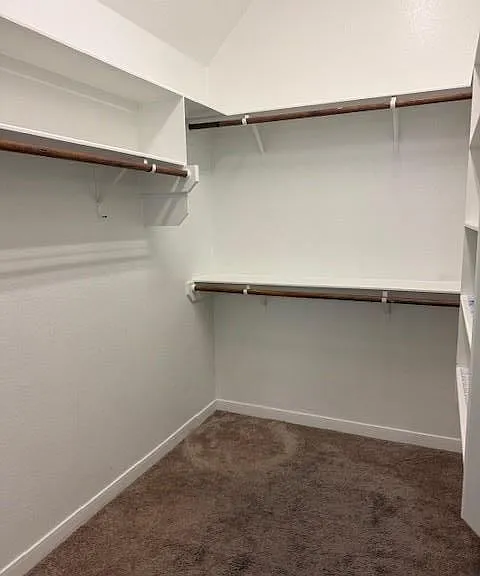 3815 Snowdance Ct — Photo 10