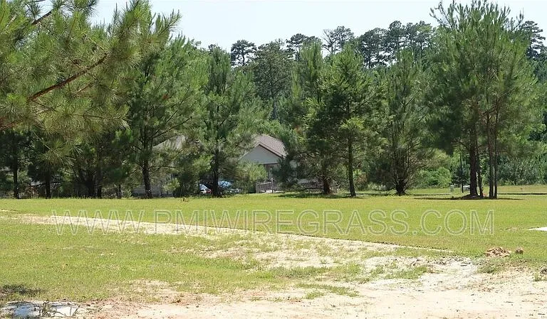 174 Sandy Hills Ct — Photo 42