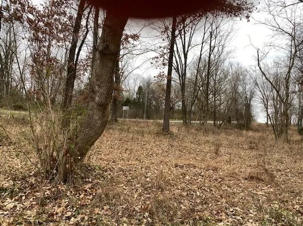 LOT 2 N John Prine Ave, Drakesboro, KY 42337