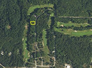 LOT 17 Sparrow Hawk Dr, Bellaire, MI 49615