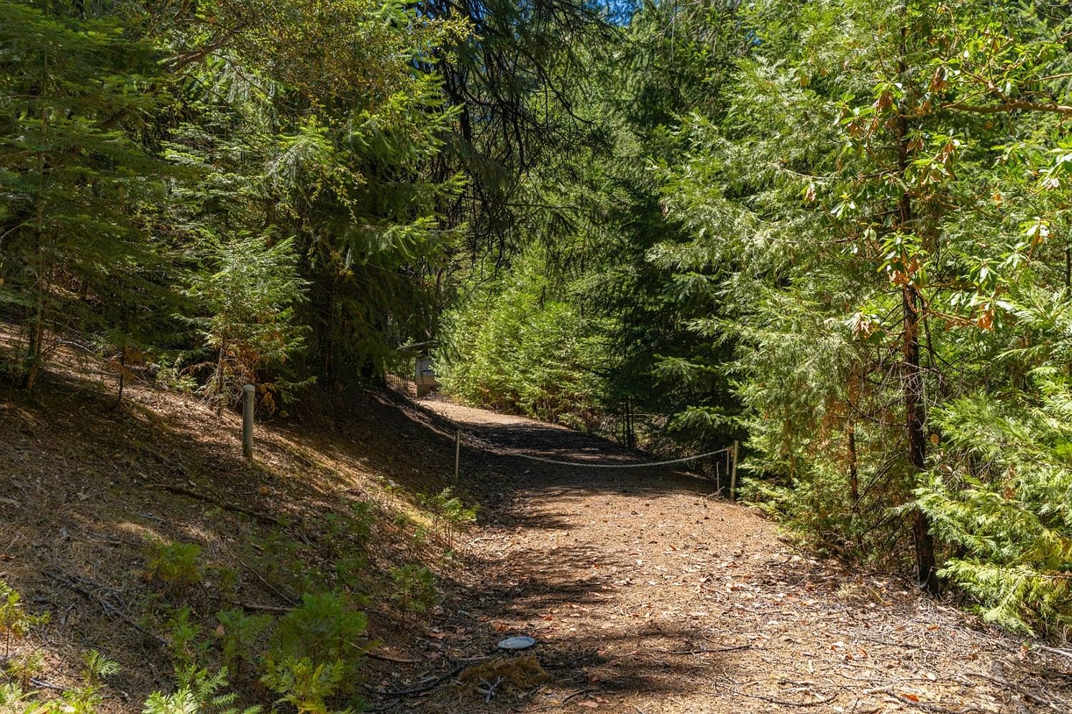 17129 McKenzie Dr, Pioneer, CA 95666 | Zillow