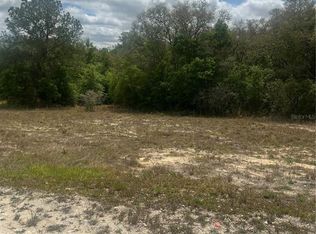 Cleft Rock St #11, Webster, FL 33597