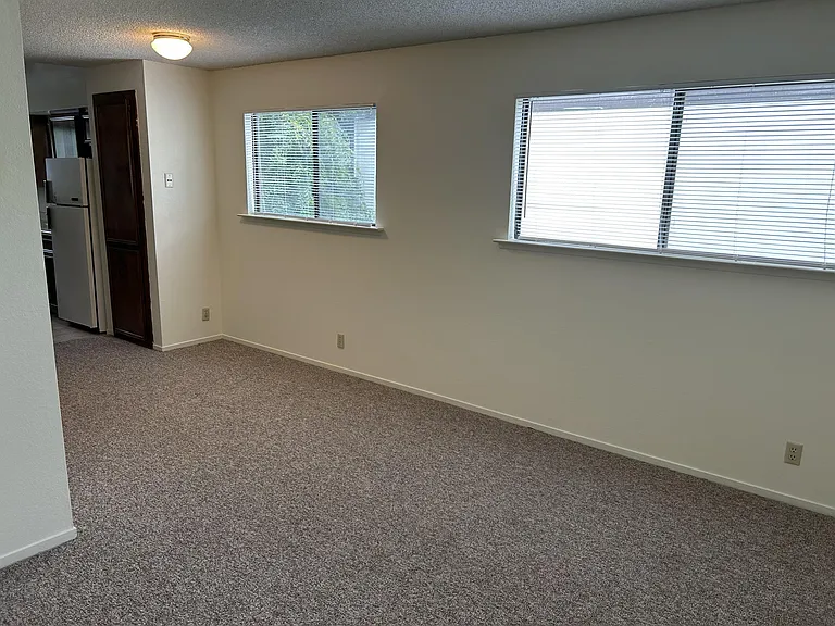 526 Dana St #8 — Photo 5