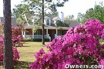 Home in Spring