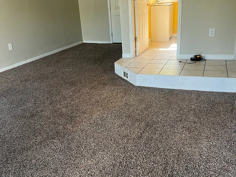2824 Carrollwood Heights Rd — Photo 16
