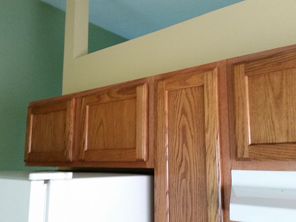 5th image of 1233 Harting Dr