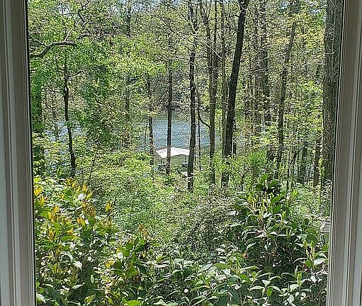 Lake Lanier from Sunroom