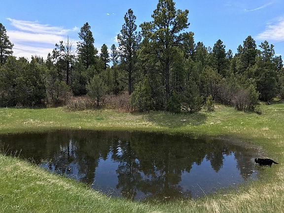 4th image of 44 Tbd County Rd S #Z