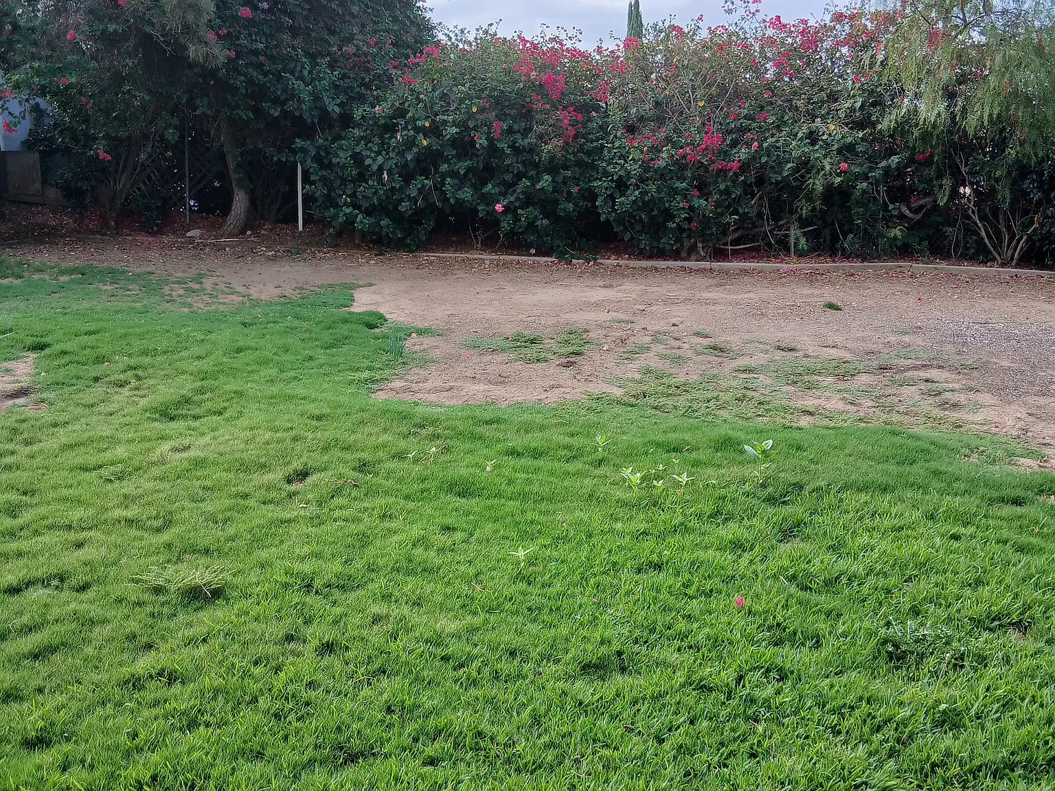 3 bed, 1249 sqft, $3,900 — Photo 3