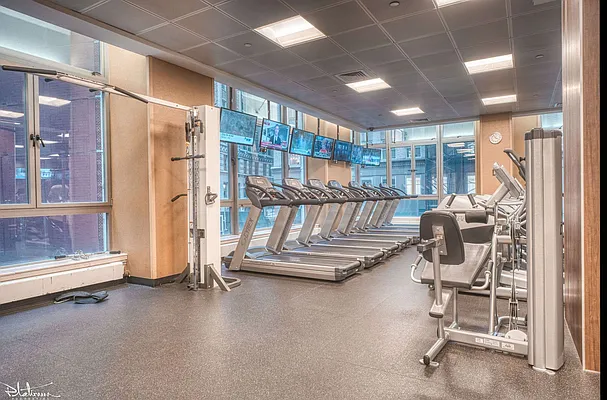 Rented by Platinum Properties | media 20