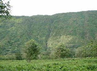 Waipio Valley Rd, Honokaa, HI 96727