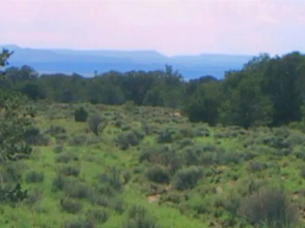 TRACT 23 Choctaw Ct, Pie Town, NM 87827