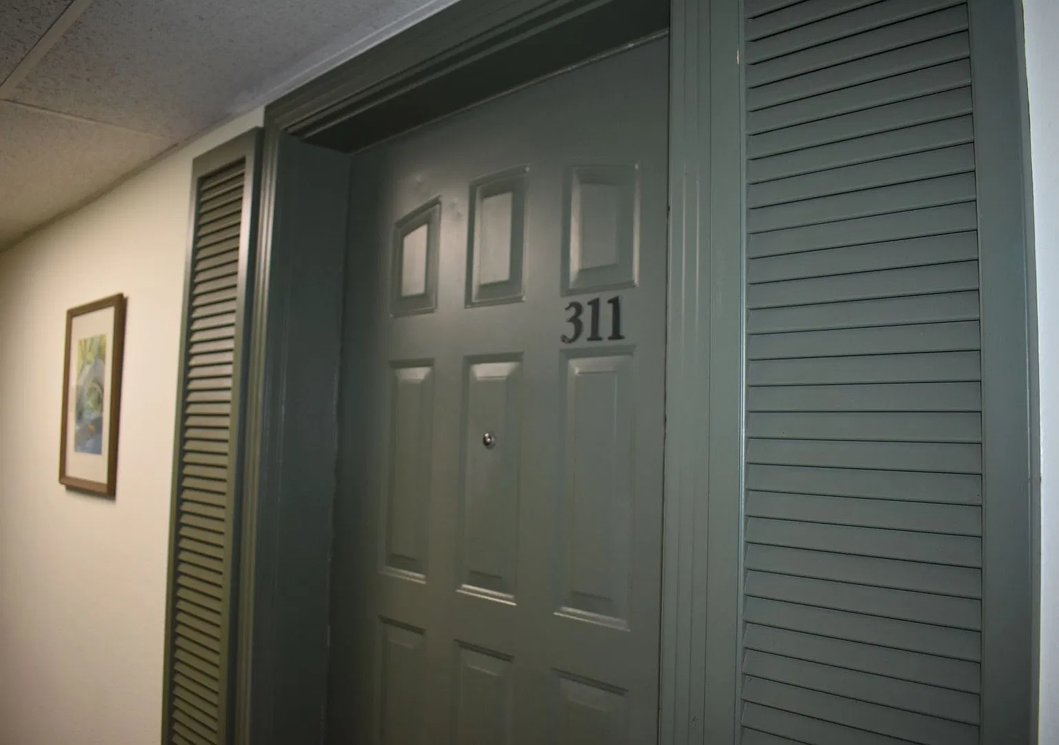 1 bed, 378 sqft, $1,650 — Photo 2