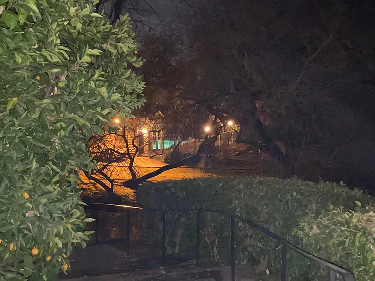 Suntree Ln — Photo 12