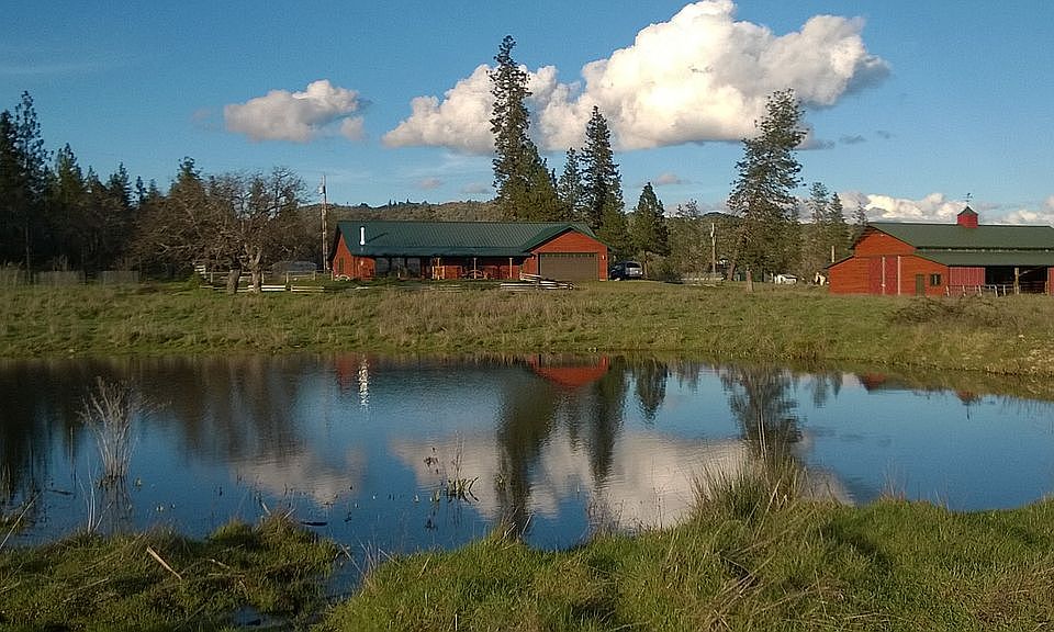 Front view from pond
