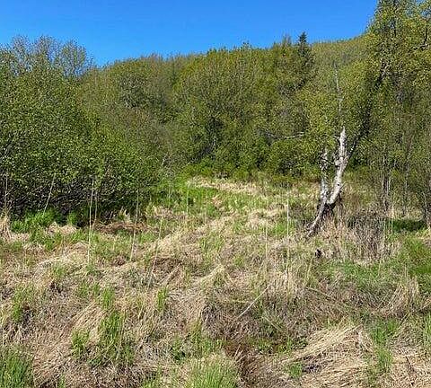4th image of 58150 Glacier View Rd S