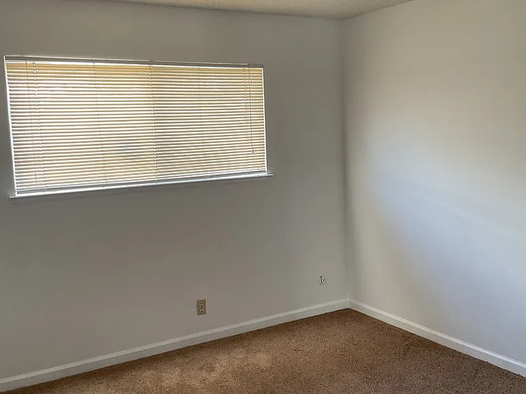 225 Echo Ave #3 — Photo 5