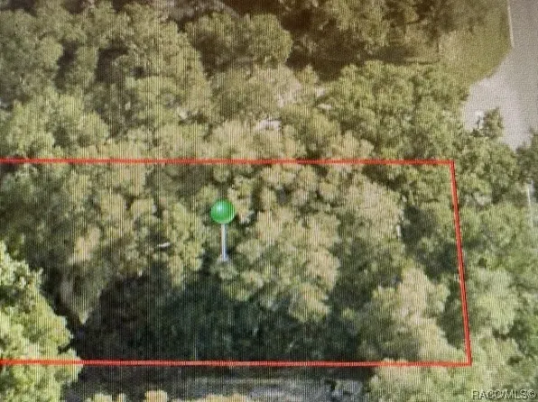 4130 E Scotty St, Inverness, FL 34453