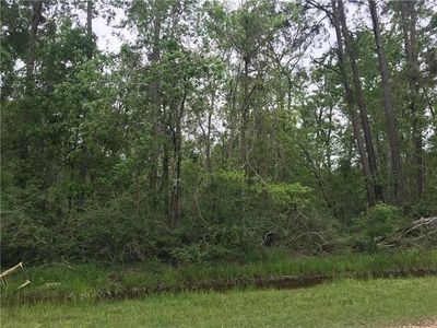 3603 Delia Randall Rd, Hammond, LA, 70401