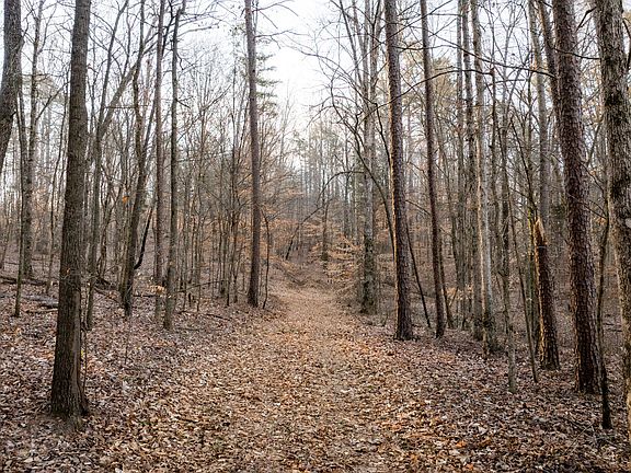 2nd image of 0 Pinewood Rd Lot 2