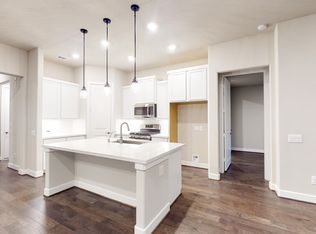 252 W Stargazer Lily Bnd, Montgomery, TX 77316