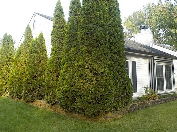 Property Side View