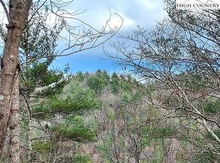 54 West Ridge Lane, Ferguson, NC 28624