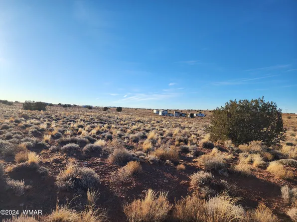 5316 Lee Rd, Snowflake, AZ 85937