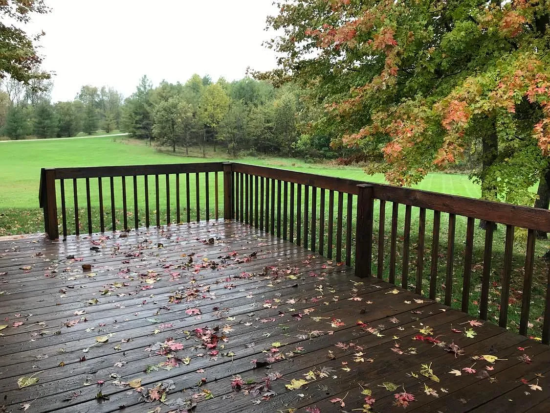 2 bed, 2434 sqft, $1,800 — Photo 4