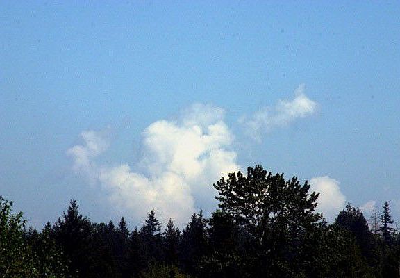 2nd image of 14242 Bear Creek Rd NE