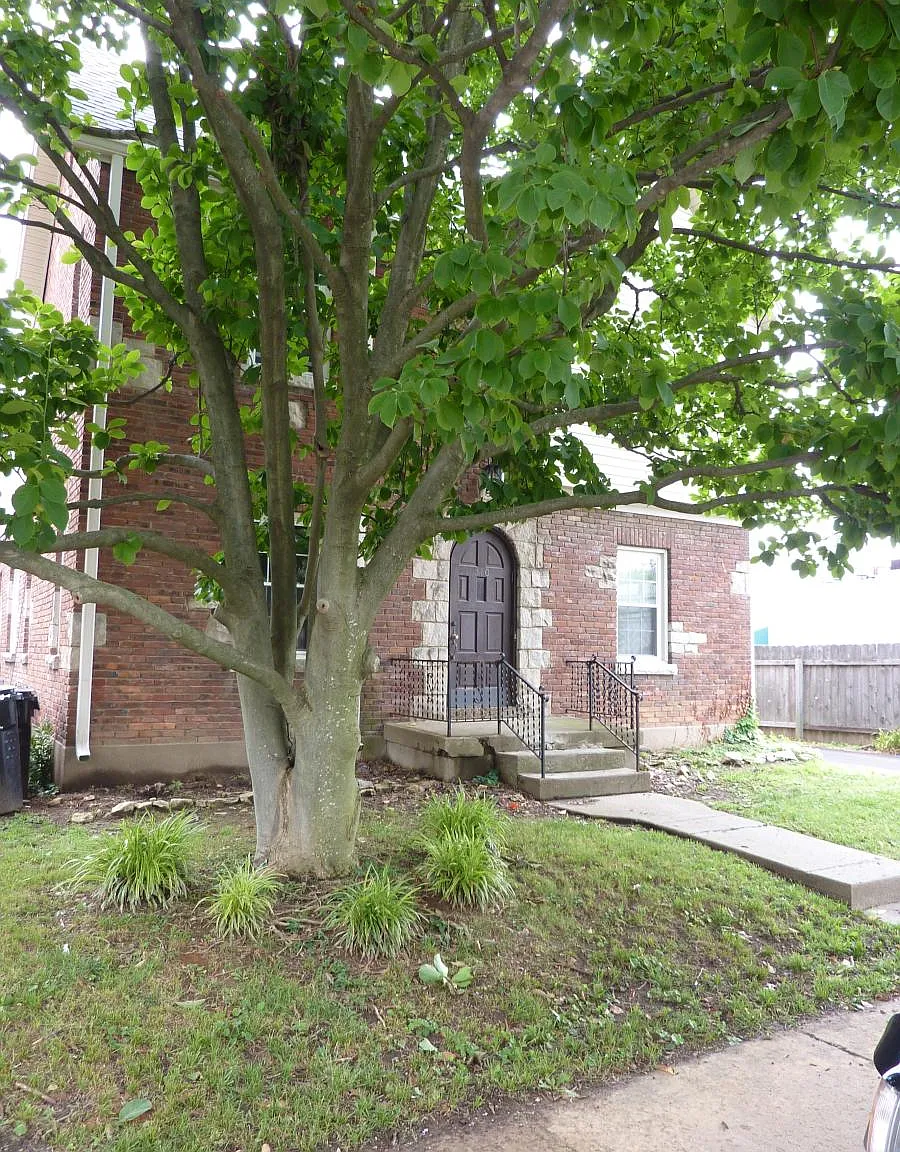 1 bed, 700 sqft, $1,025 — Photo 2