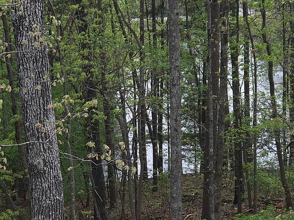Pond behind the lot