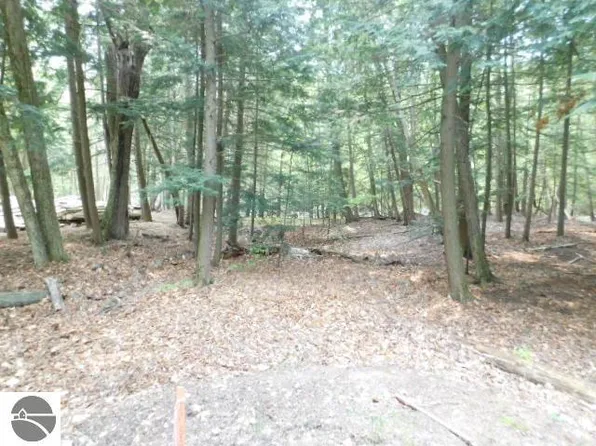 S Michaels Woods Trl, Maple City, MI 49664