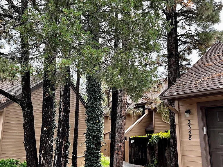 2346 N Whispering Pines Way — Photo 4